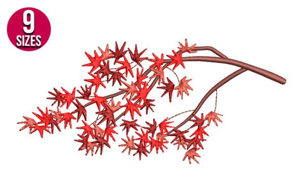 Maple Branch