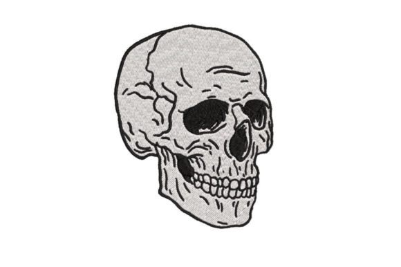 Scary Human Skull