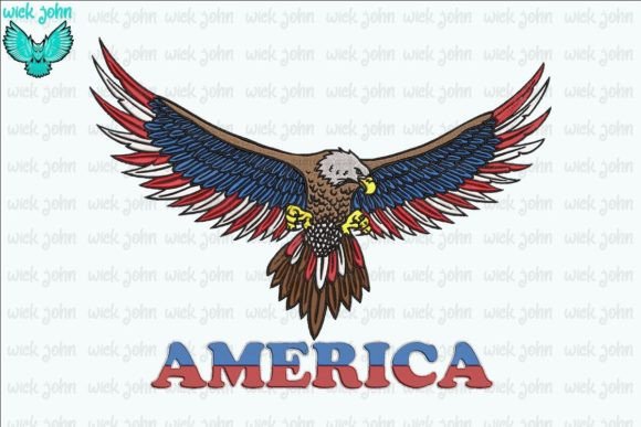 White Collared Eagle America